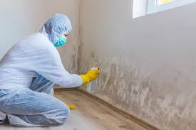 Professional Mold Prevention & Removal  in Milwaukie, OR